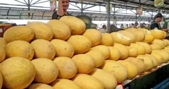 Дыня не только сладкая: какие полезные вещества можно получить из летнего плода
