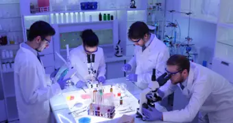 В черепе обнаружили неизвестный «орган»: ученые выяснили, зачем он нужен мозгу