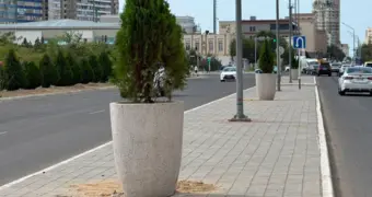 В Актау установили 50 декоративных вазонов