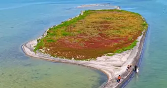 Новый остров появился в Каспийском море: его сняли на видео