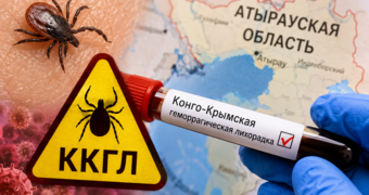Конго-Крымская лихорадка впервые пришла на запад Казахстана