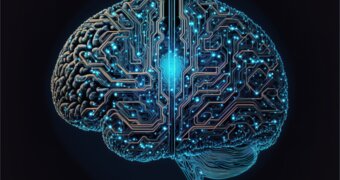 Учёные наблюдали за искусственным мозгом пять лет и обнаружили эффект «течения времени»