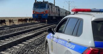 Двигавшийся в Мангистау поезд сбил насмерть лошадей на железнодорожных путях