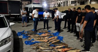 Более 200 кг осетров в багажнике: двух мужчин задержали в Актау
