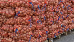 Овощи запасают миллионами тонн: сколько хранилищ построили в Казахстане и где оказался Мангистау