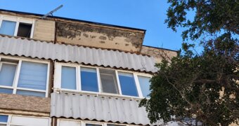 Котёнок остался один в запертой квартире: необычная спасательная операция прошла в Актау