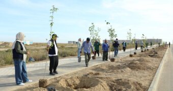В Актау появилась новая аллея