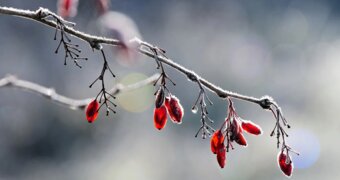 Казахстан ждет холодная ночь: где 27 сентября ударят заморозки до -3 градусов