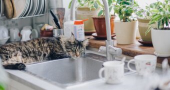 В Актау 2 октября отключат питьевую воду