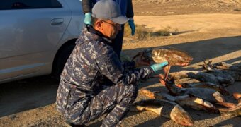 В Мангистау изъяли крупную партию краснокнижной рыбы