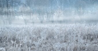 Казахстан накроют пыльные бури и ночные морозы — где 25 октября разгуляется ветер
