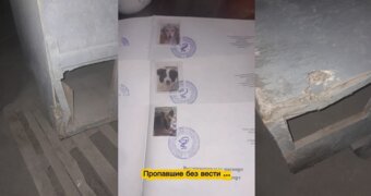 В Мангистау мужчина с топором устроил погром в приюте для собак «Шанс»