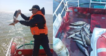 Браконьеры и наркотики на Каспии — чем закончились октябрьские рейды
