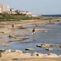 Экологическая катастрофа: в День Каспия жители Актау высказались об обмелении моря