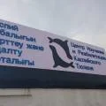 В Актау модернизировали Центр изучения и реабилитации каспийского тюленя