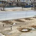 В Актау на месте планируемой автобусной остановки высадили деревья