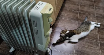 В Актау с сегодняшнего дня начнут отключать отопление