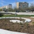 У Вечного огня в Актау высадили чайные розы