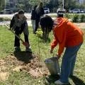 В Актау геологи посадили деревья в рамках акции «Таза Казахстан»