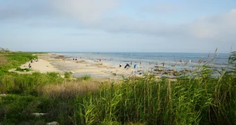 Позорище туристического рая или во что превратился городской пляж в Актау