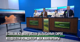 «EcoBilim» жобасы: Маңғыстаудың табиғи байлығын қорғау және насихаттау жолындағы маңызды қадам