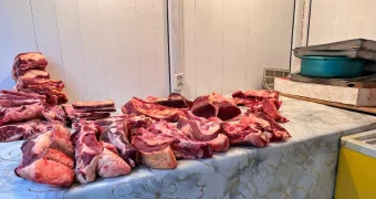 Перестаньте работать ради статистики – Нурдаулет Килыбай о работе чиновников