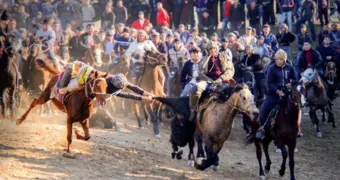 Конный спорт Узбекистана: традиции и новое дыхание