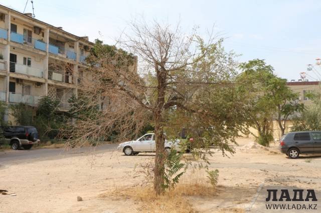 Засуха в Актау: Жители города жалуются на отсутствие полива растений в городе
