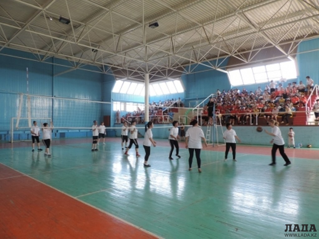 Соревнования среди женских волейбольных команд. Фото автора