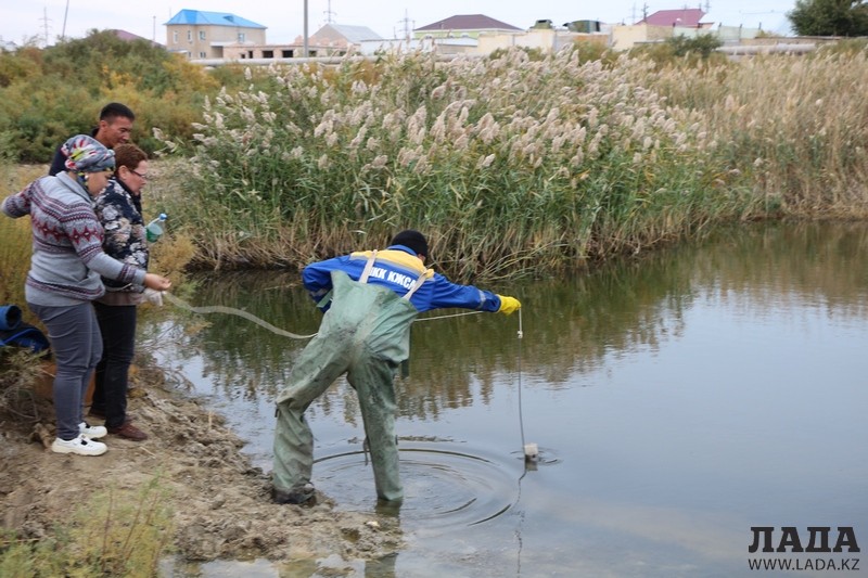 Специалисты берут пробы воды в болоте