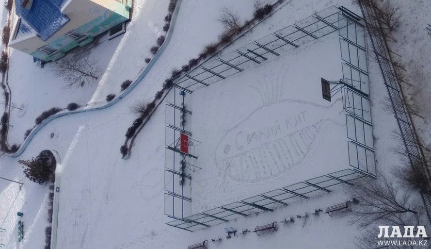 Воспитанники детской деревни нарисовали на снегу &quot;Синего Кита&quot;