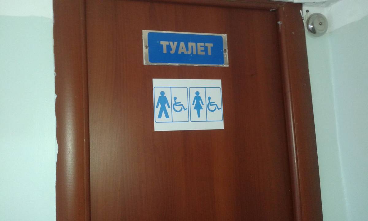 Сайт для инвалидов дверь. Дверь в туалет для инвалидов. Дверь в санузел для инвалидов. Порог двери для инвалидов. Входные двери с ручками для инвалидов-колясочников.