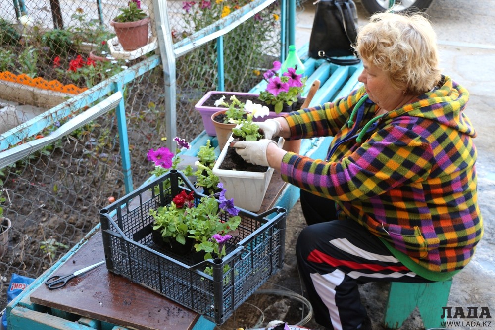 Екатерина Васильевна Овчинникова высаживает новую партию цветов. Фото автора
