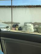 В селе Атамекен уже третью неделю лежит мусор