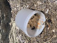 Мусор на набережке 15 мкр.