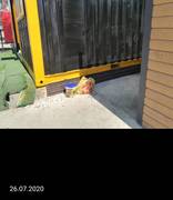 "Вагончики" на набережной (продолжение)