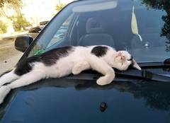 Приколы нашего городка