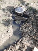 Излив нечистот в прибрежной зоне