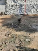 Излив нечистот в прибрежной зоне