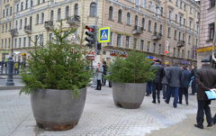 Акимат! Скоро Новый год!