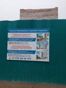 Очередное варварское уничтожение деревьев