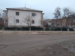 Очередное варварское уничтожение деревьев