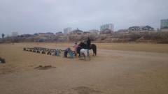 Ипподром на стадионе Каспий