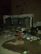 "Свиные" Коровы