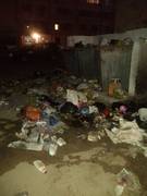 "Свиные" Коровы