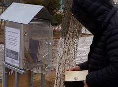 "Уличная библиотека"