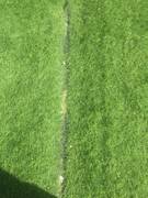 Небезопасное футбольное поле