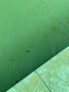 Дом отдыха Сая или как отвадить туристов