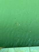 Дом отдыха Сая или как отвадить туристов