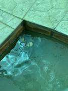 Дом отдыха Сая или как отвадить туристов